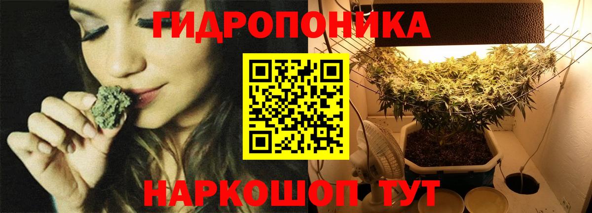 Конопля Amnesia Ярославль